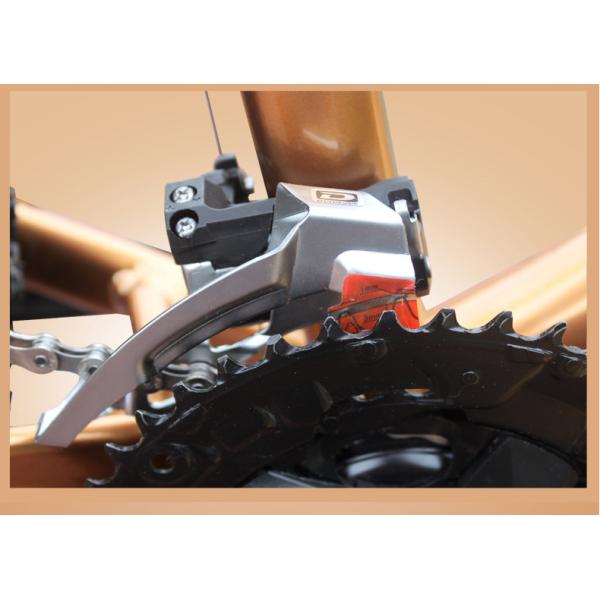 Gold 30 Speed 26x4.0 Inch Fat Wheel Mountain Bike