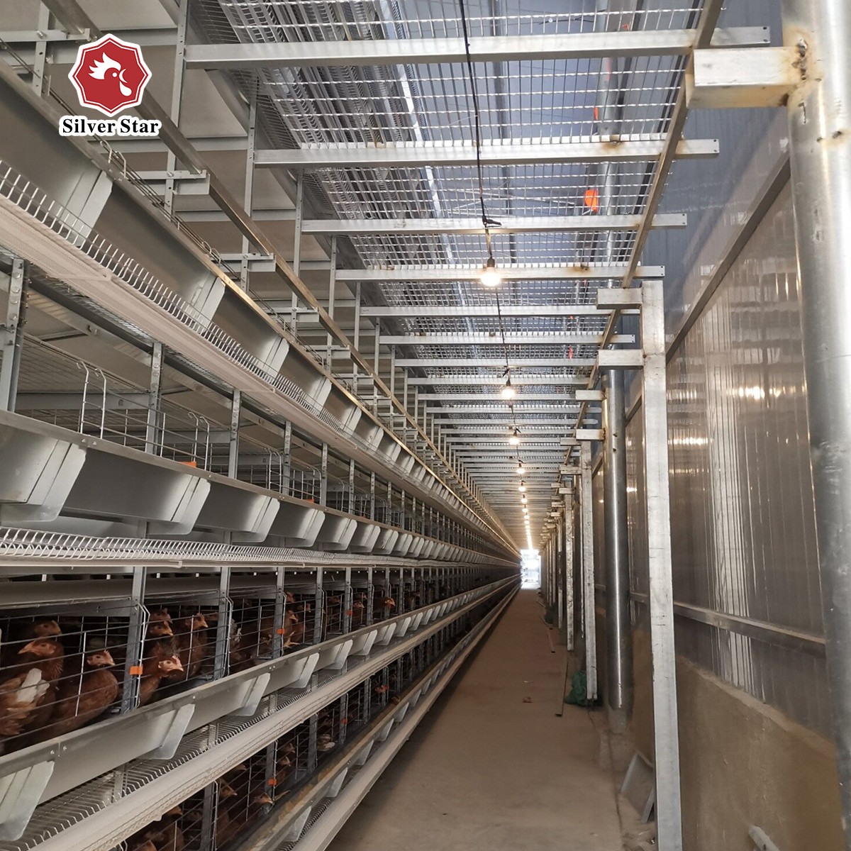 H Type Full Automatic Egg Layer Chicken Cage Hot Dip Galvanized Material