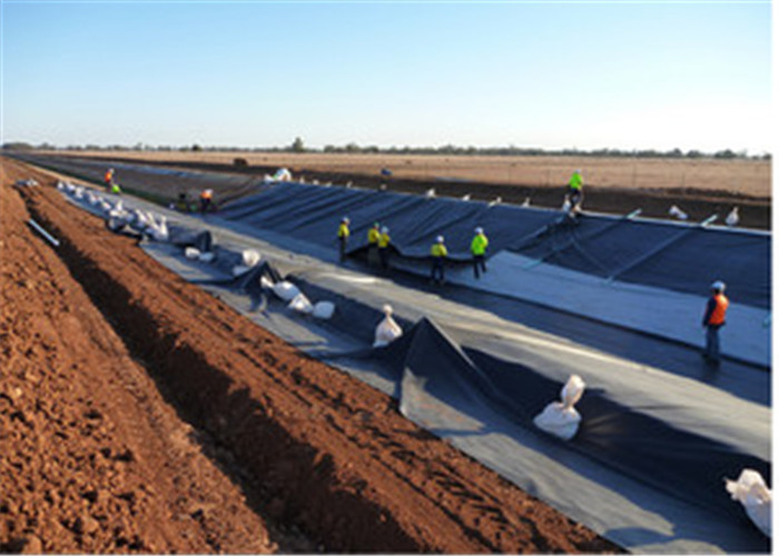 1mm Ldpe Polyethylene Geomembrane For Fish Farm Pond Liner