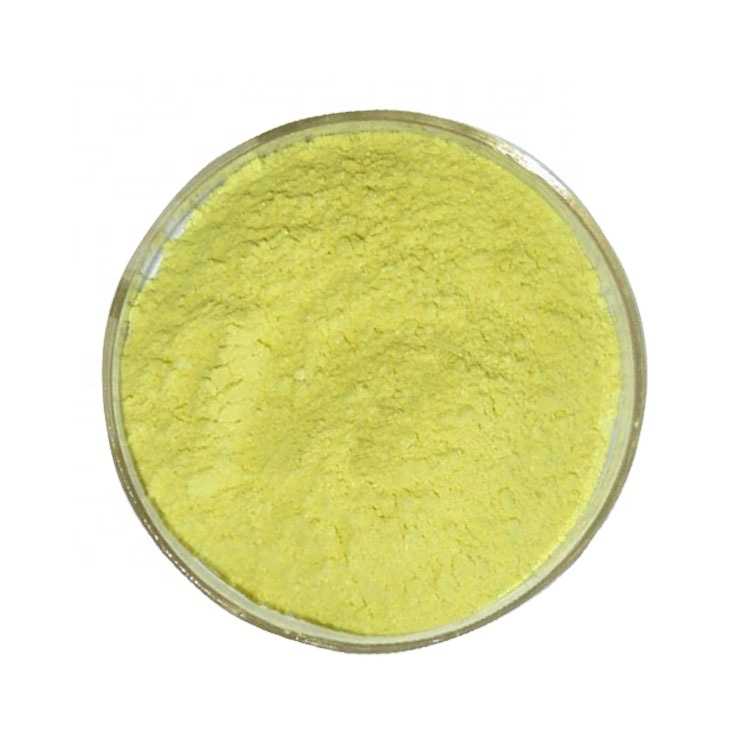 Natural Sophora Japonica Extract 99% Quercetin Dihydrate Powder For Healthcare CAS 6151-25-3