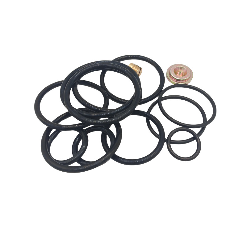 Black PTFE Soft Seal Kit for Oilfield Downhole 3''×3'' Inch 1002 Low Torque Plug Valve