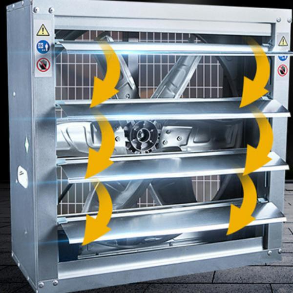 Hot Sales High Quality 54 Inch Exhaust Fan for Greenhouse or Poultry Farm or Pig House From China