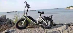 China ( OEM Factory ) 48V 250W Fat Tyre Electric Bikes , 20 Inch Electric Assist Bicycle wholesale