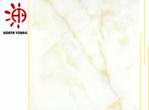 China HTY TMG 600*600 800*800Marble Full Cast Glaze Series Ceramic Tile Series Made in Foshan Factory wholesale