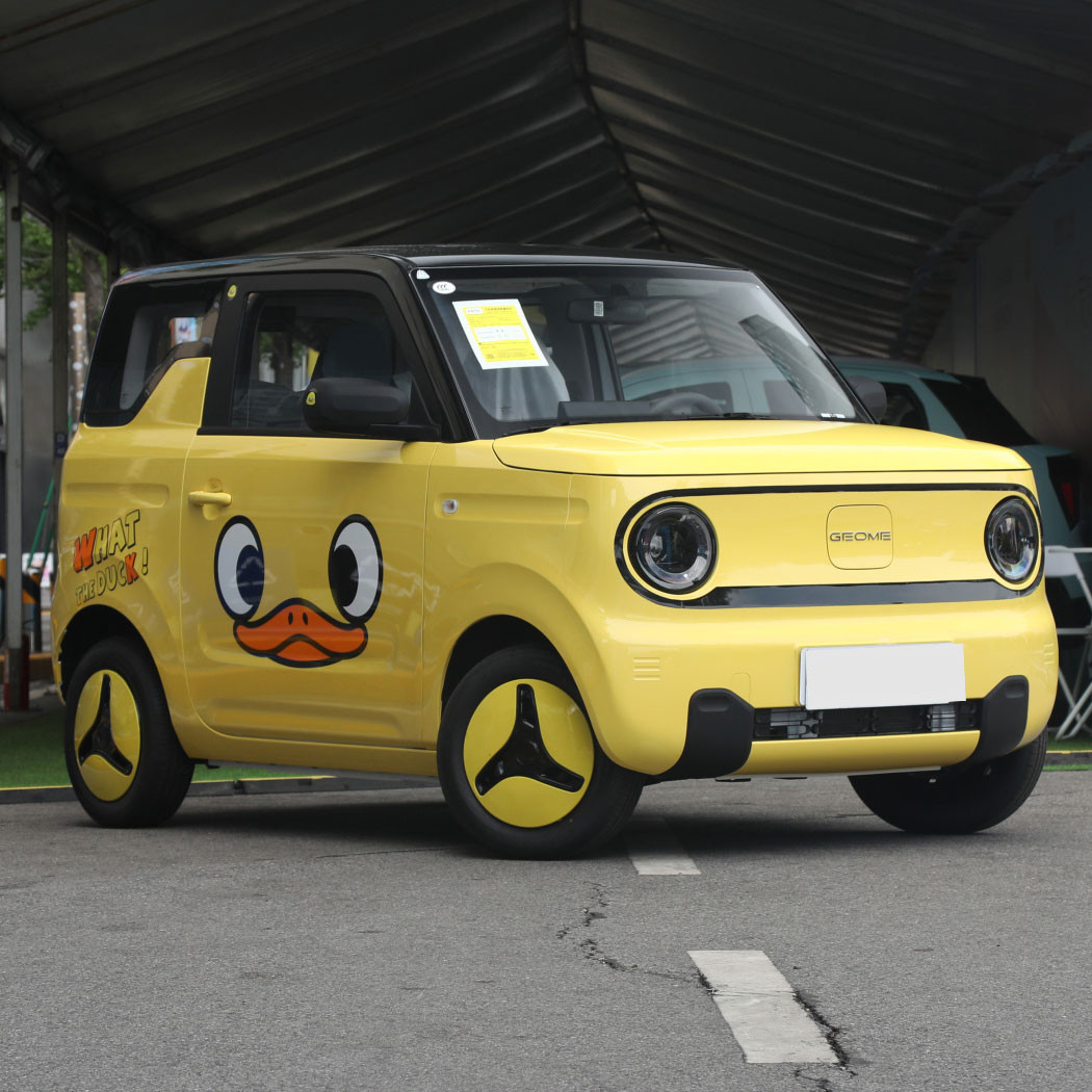 GEELY Panda Chinese Mini Electric Car EV Top Speed 100km/H For Urban Transportation