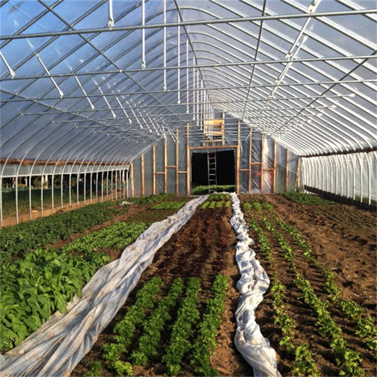 Polytunnel Cooling System Tunnel Plastic Greenhouse With Circulation Fan