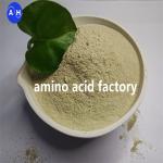 Hydrolyzed Free Amino Acid 80% Powder Light Yellow