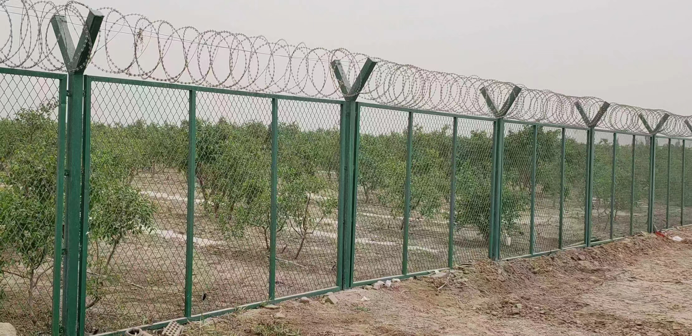 The Fine Quality chain link fence aquaculture purse seine orchard protection net pvc coated chain link fence