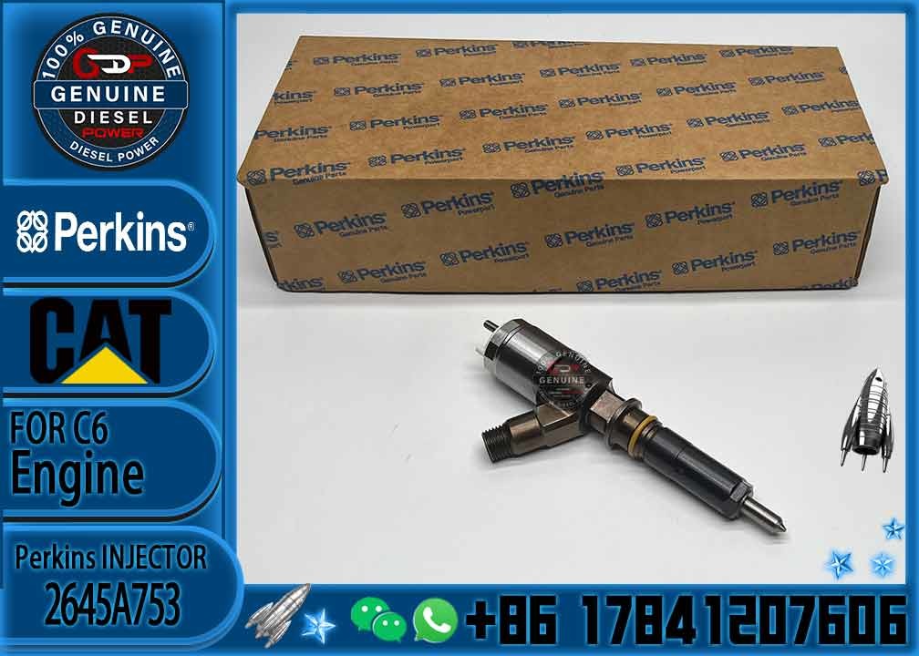 Diesel Common Rail Injector 321-3600 10R-7938 2645A753 FOR Engine C6.6 312D