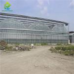 Heavy Duty Glass Hydroponic Nursery Greenhouse For Vegetables