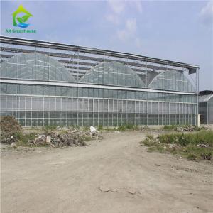 China Heavy Duty Glass Hydroponic Nursery Greenhouse For Vegetables wholesale
