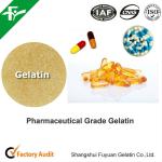 High Quality Pharmaceutical Grade Bovine Gelatin For Capsules