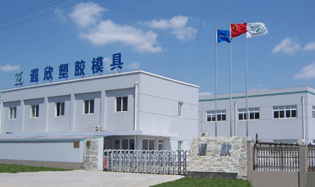 PE HDPE Injection Molding Toys