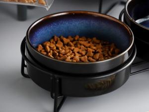 China Elevated 400ml 850ml Lead Free Ceramic Dog Bowl With Metal Stand Pet Supplies wholesale