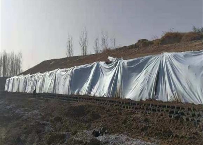 Thickness 0.9 1.2 1.5mm Geocell Confinement System 50~300mm Pp
