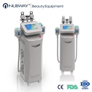 China Cryolipolysis Cellulite Reduction Machine/Cryolipolysis +Vacuum Body Slimming System wholesale