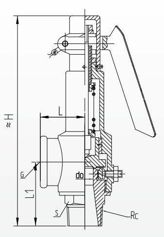 N Type Cast Iron Spring Safety Valve 35bar Wrench