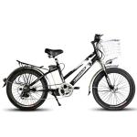 24" Brushless Motor Electric Bicycle with 48V 250W Power and 12AH Battery in