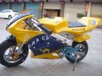 49cc 2-Stroke Air Cooled Mini Moto/Racing Bike