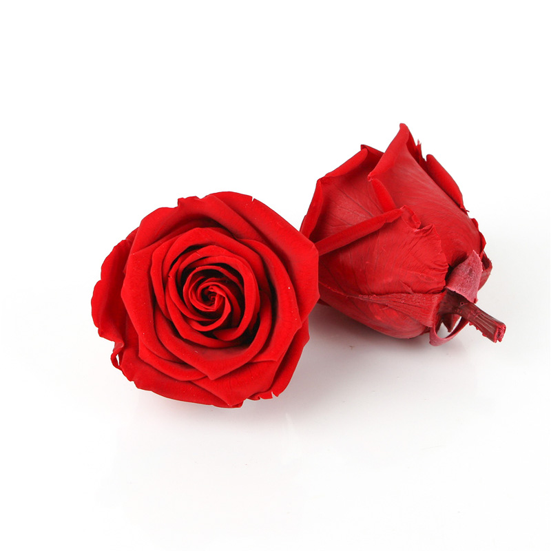 Decorative Preserved Rose Flower New Year Wishing Bottle For Birthday Gift