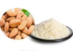 99% Herbal Extract Anti Tumor Peach Kernel Powder