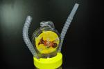 Yellow Cartoon Water Bottle , Windmill Style Kids Water Bottles With Fun