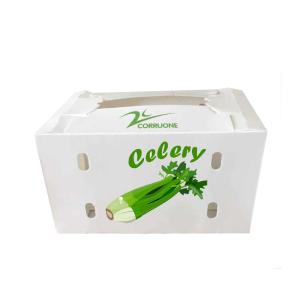 China New 2023 Corrugated plastic box for Fruits and vegetables low price wholesale