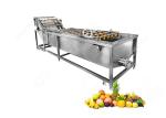 Fruit Washing Machine Manufacturers Fruit Washing Machine Australia