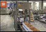 Bag Water Robotic Packaging Machinery Carton Palletizer Bottle Case Packer