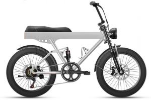 China 500w 9.6Ah 40kmh 20 Inch Fat Tire Ebike Bicycle Cargo Double Batteries Folding wholesale