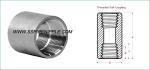 SS304 /SS316 Stainless Steel Merchant Coupling Female Screwed NPT / BSP / DIN