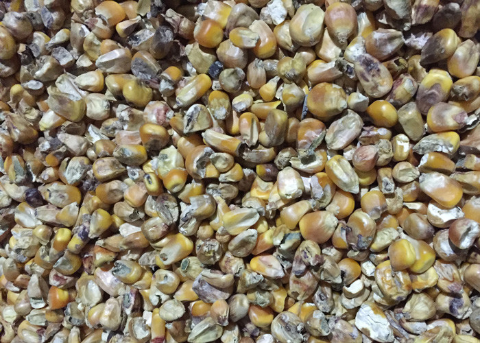 S8 Intelligent Mutiple Fuction Corn CCD Color Sorter With Stable Vibrator