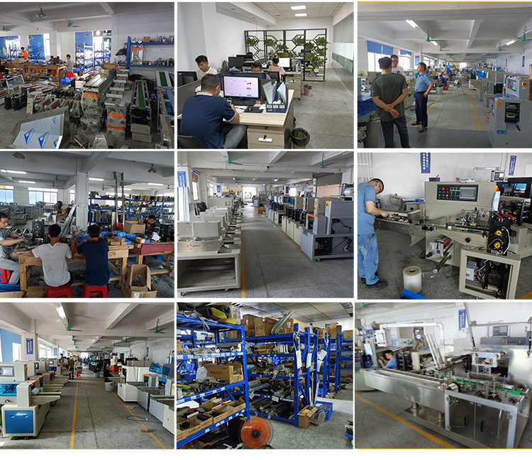 3g 240mm Granule Packing Machine 10bags/min Walnut Volume Cup Weighing