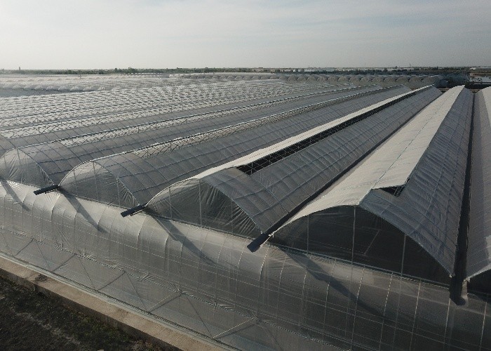 Double Layer Plastic Film Greenhouse With Cooling System Heating System Shading System Grow Tomatoes