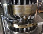 21600pcs/H 45mm Catalyst Disinfection Tablet Press Machine