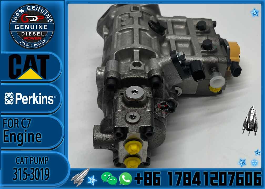 Diesel Engine Diesel Fuel Injection Pump 315-3019 For Caterpillar 320D Excavator 3153019 C6.6