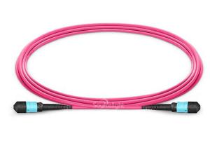 China Purple Om4 Purple Mpo Mtp To Lc Fiber Optic Patch Cables Fanout 12 Cores wholesale