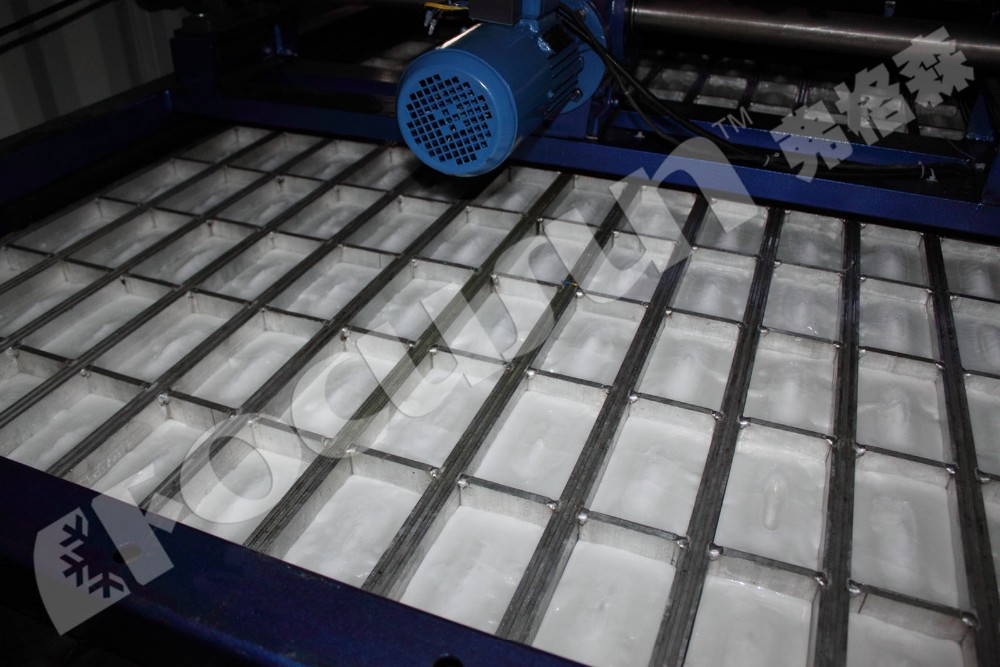Frascold Compressor Used Air Cooling 1MT Solar Block Ice Making Machine for in Ghana