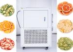 Breast Milk Home Mini Freeze Dryer 10kg/Batch PLC Control