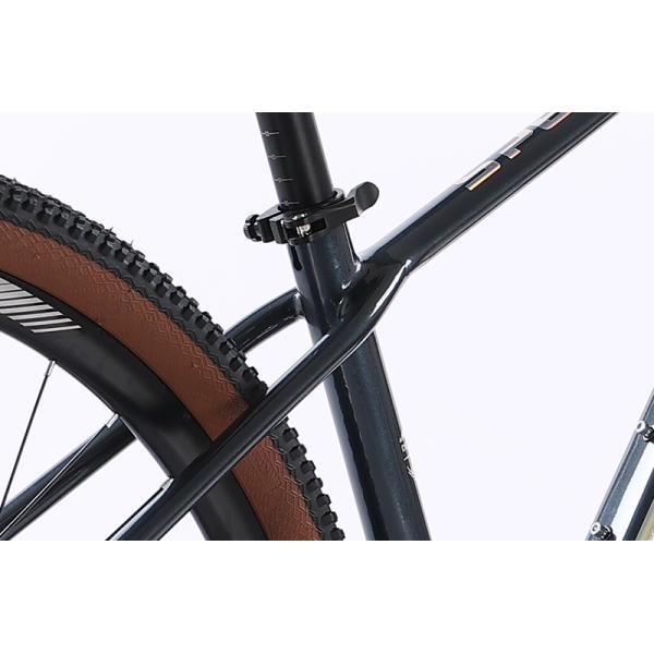 172-182CM Hydraulic Groupset OEM MTB 29 Inch Bicycle Aluminium Alloy Mountainbike 10 12Speed Mountain Bike for Man Gear Cycle