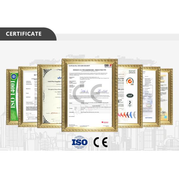 10L-20L Instant Tankless Gas Water Heater LPG Natural Gas Copper Heat