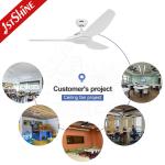 ROHS 52 Inch White Low Noise Large Airflow Ceiling Fan Led Five Speeds Remote