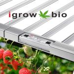 AC277V 2.9umol/J 1000 Watt LED Grow Lights