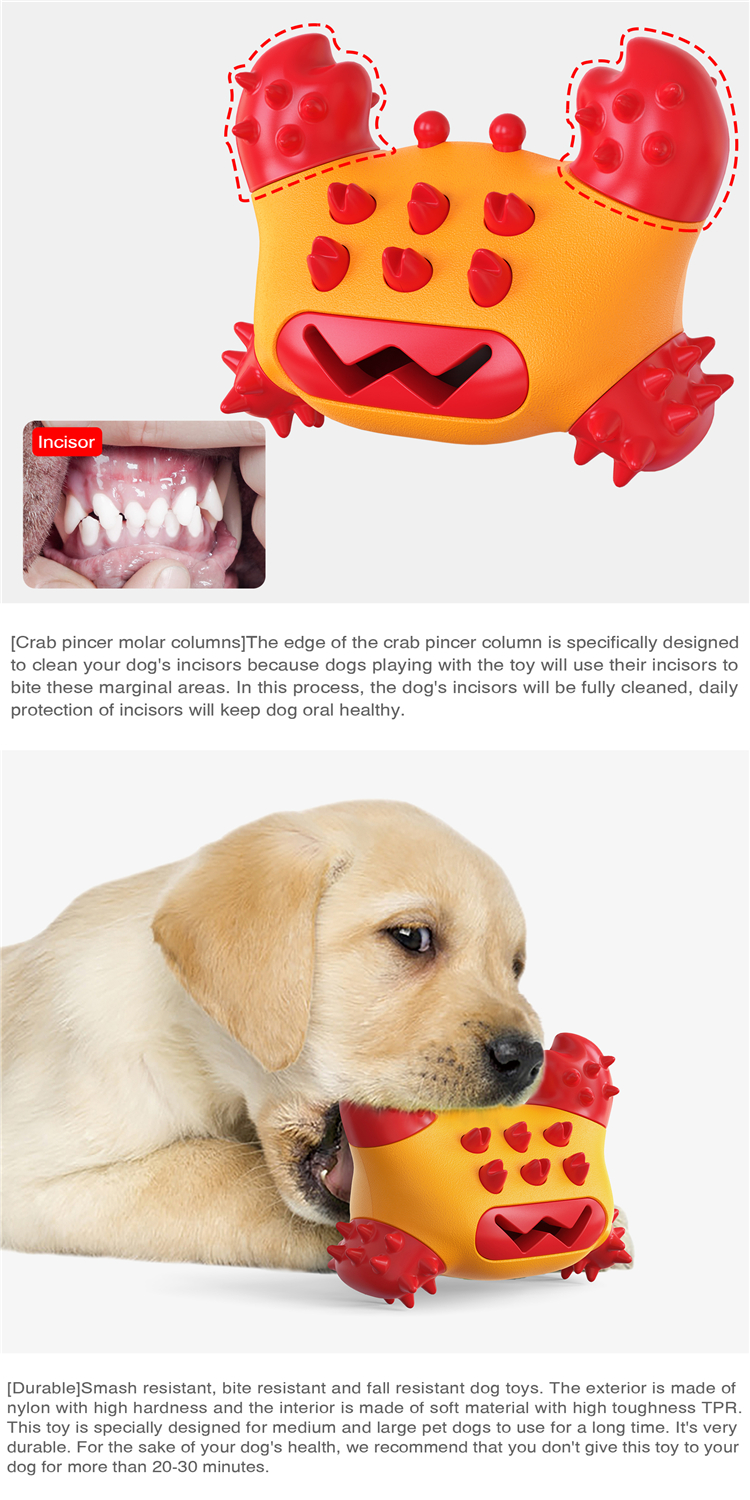 TPR Pet Cute Pet Toys Protective Molar Cleaning Toothbrush Molar Bite