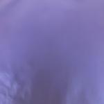 83GSM 100%P Polyester fabric