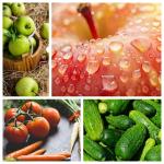 Fruit Cleaning Machine Multi-Function Vegetable Washing Equipment for Quick