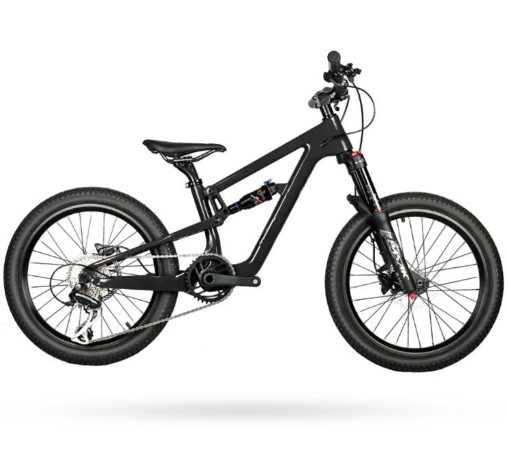 20 Full Suspension Carbon Mountain Bikes 10 Speed Carbon Bike Frame Mtb for Kids