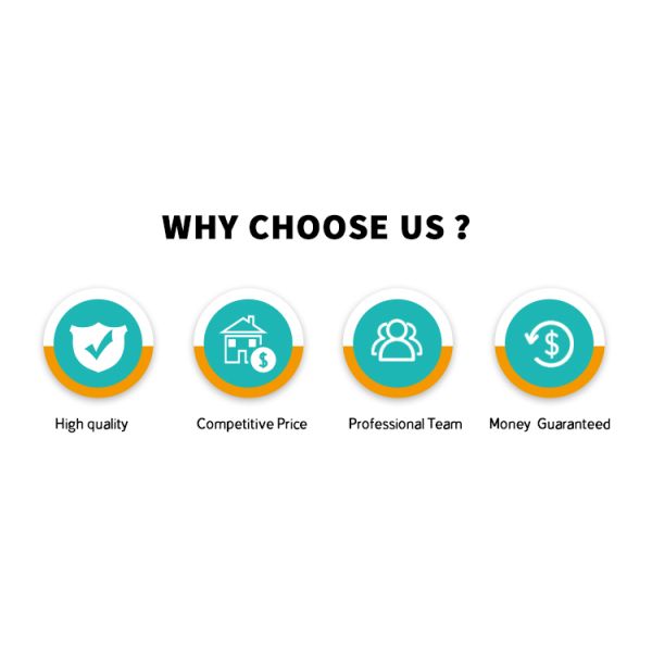 30cm A1 DTF Printer With White Ink Circulation System Single XP600 Head CMYKW Ink Color