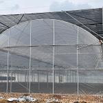 Agriculture Planting Plastic Sheeting Large Scale Steel Frame Greenhouse Multi