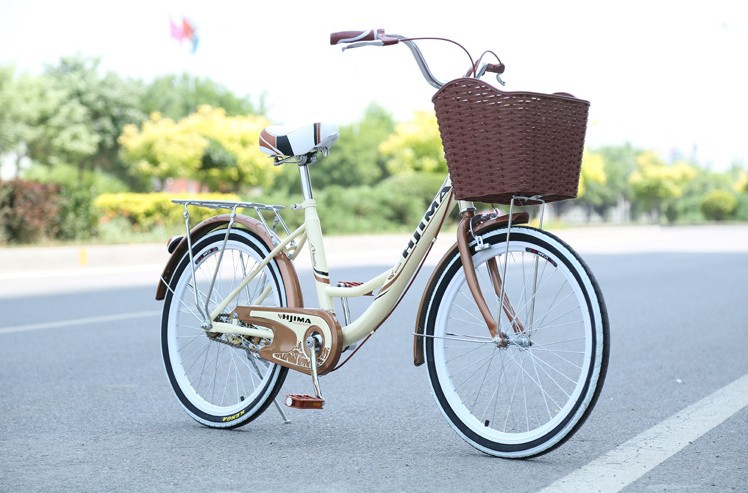 V Brake Single Speed 24 Inch Womens Commuter Bike